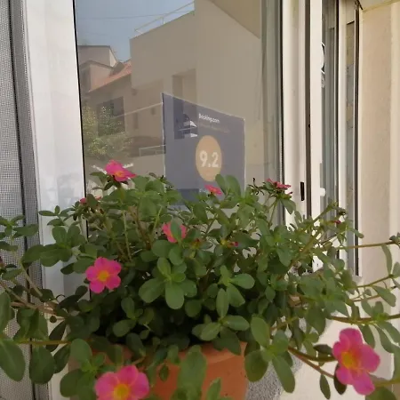 Siana House 3* Ravda