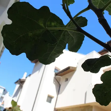 Vendégház Siana House