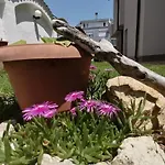 Siana House Къща за гости
