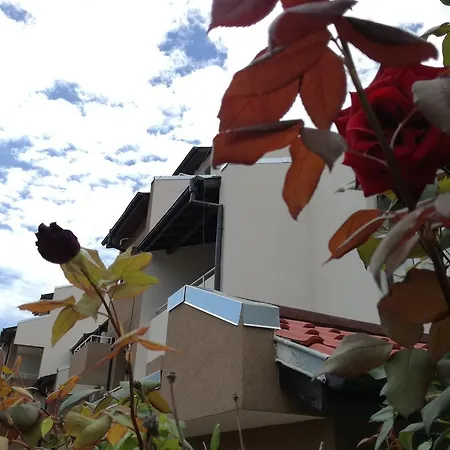 Гостевой дом Siana House Равда