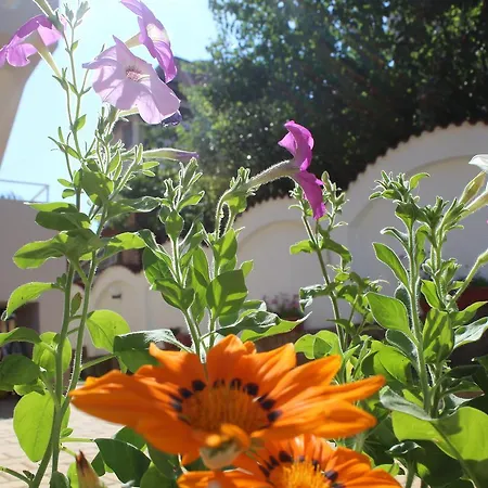 Siana House 3*