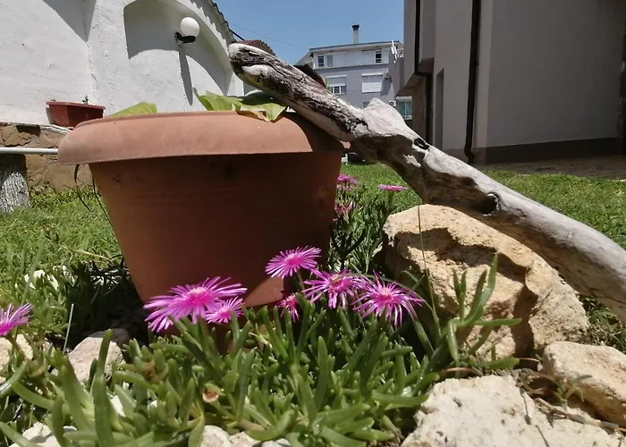 Siana House Pensjonat