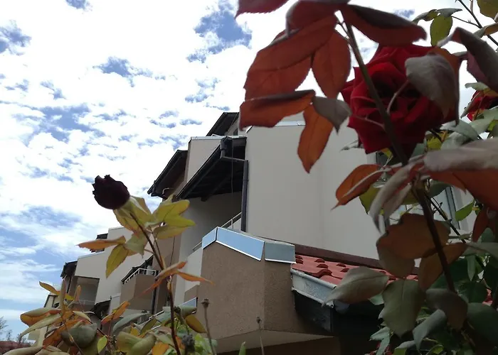 Pensjonat Siana House Rawda