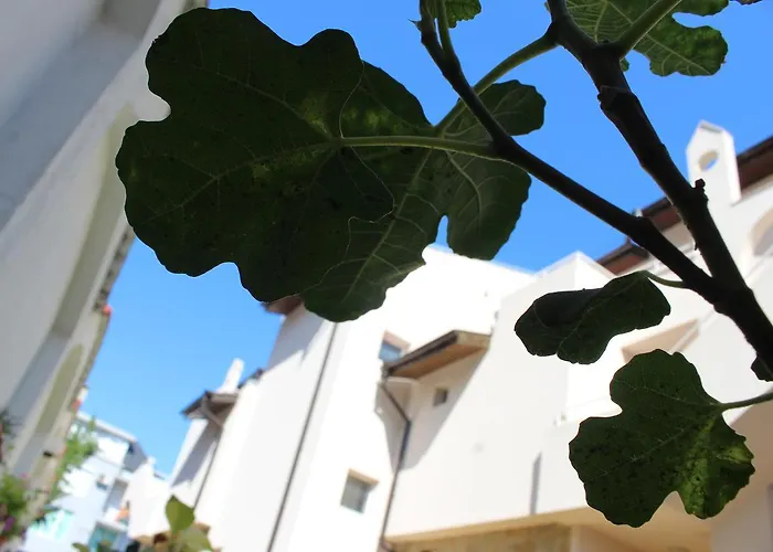 Pensjonat Siana House