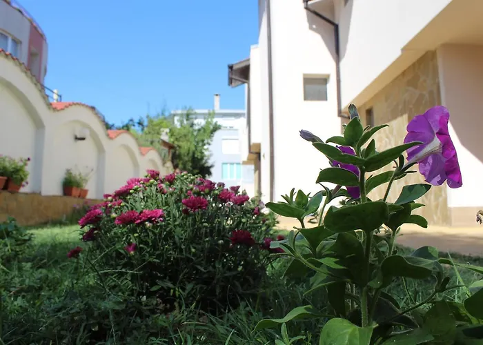 Siana House Pensjonat